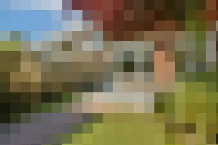 Berkenrodelaan 12 Amstelveen thumbnail 34