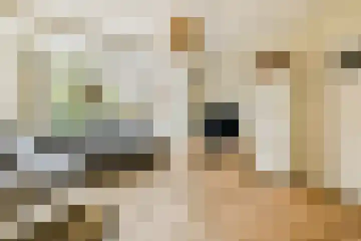 Berkenrodelaan 12 Amstelveen thumbnail 4
