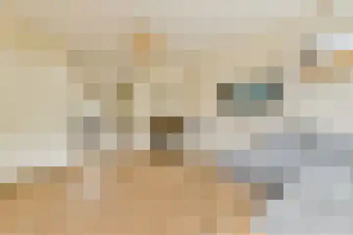 Berkenrodelaan 12 Amstelveen thumbnail 6
