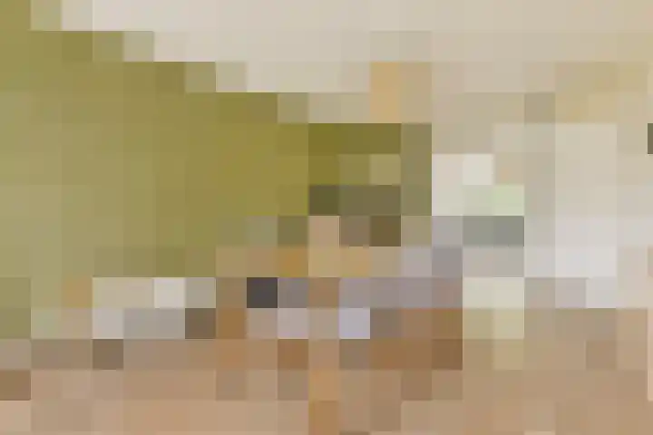 Berkenrodelaan 12 Amstelveen thumbnail 7