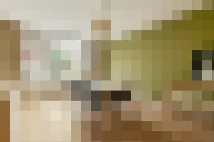 Berkenrodelaan 12 Amstelveen thumbnail 8