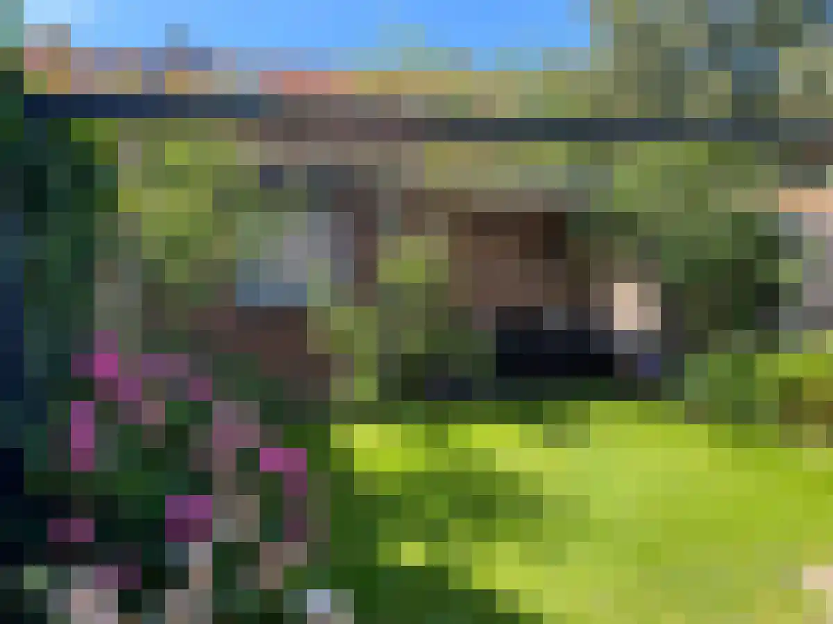 Berkenrodelaan 13 Amstelveen thumbnail 5