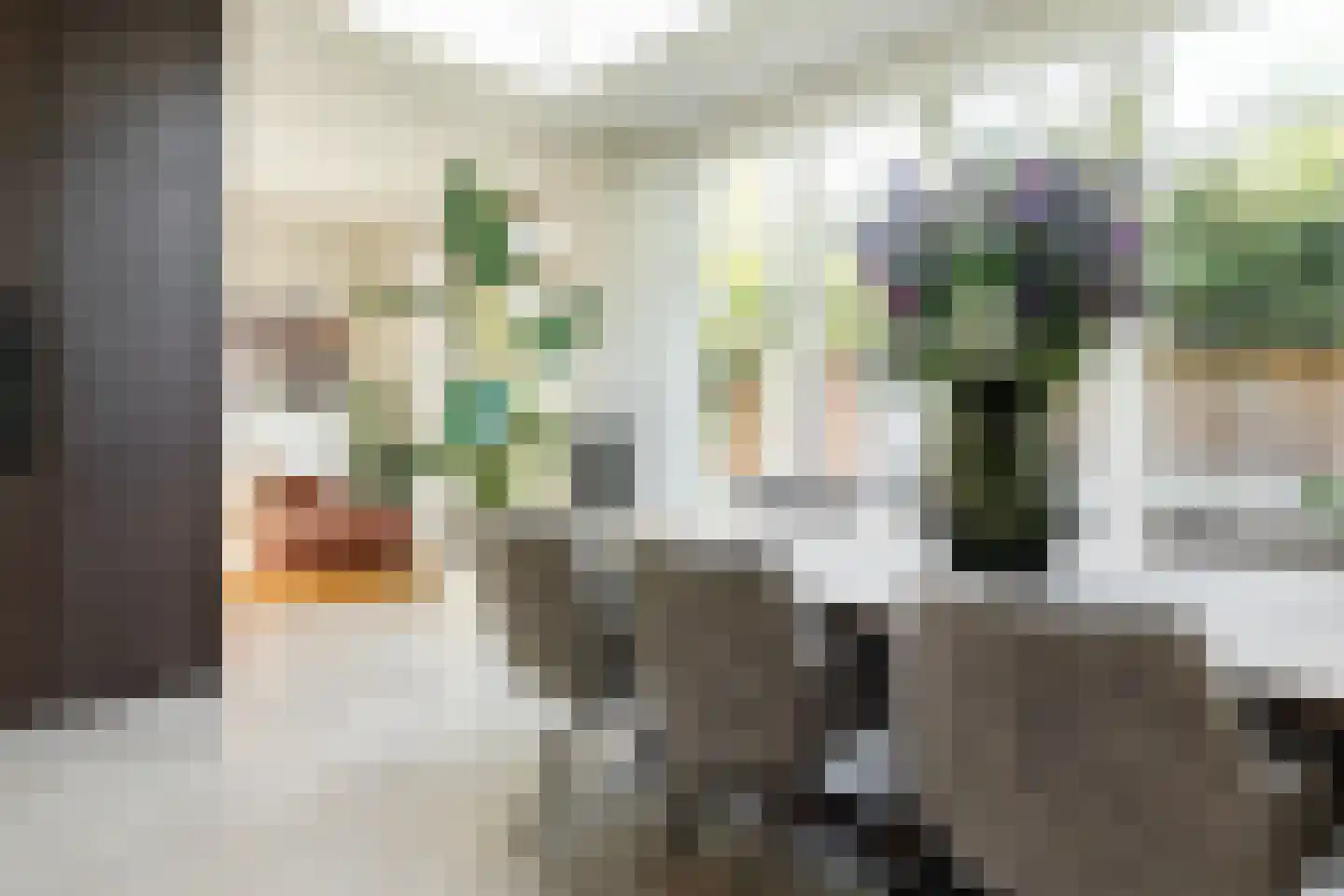Berkenrodelaan 18 Amstelveen thumbnail 11