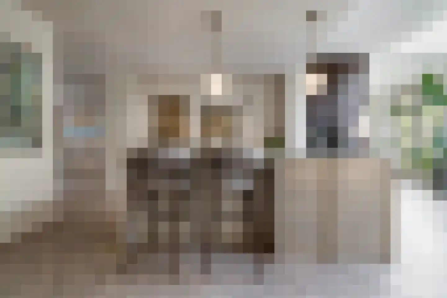Berkenrodelaan 18 Amstelveen thumbnail 16