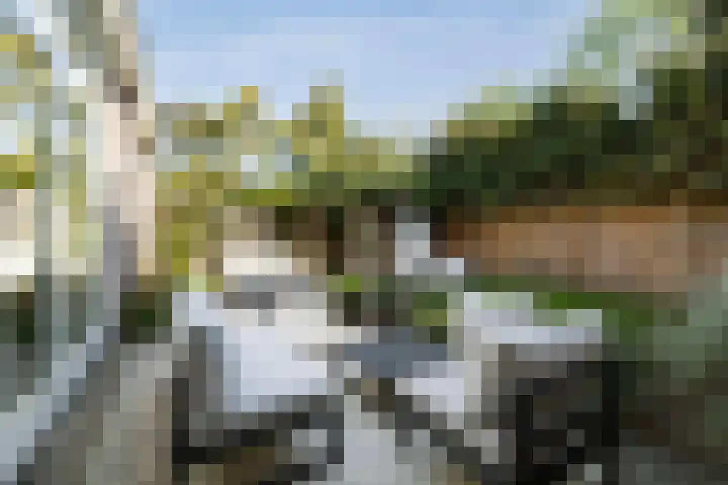 Berkenrodelaan 18 Amstelveen thumbnail 25