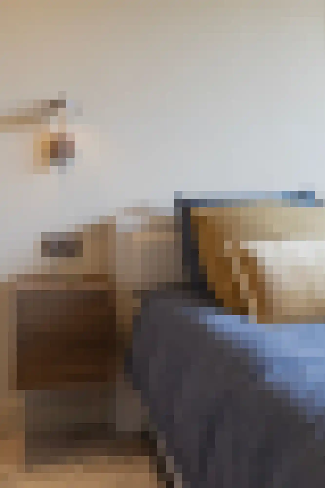 Berkenrodelaan 18 Amstelveen thumbnail 37