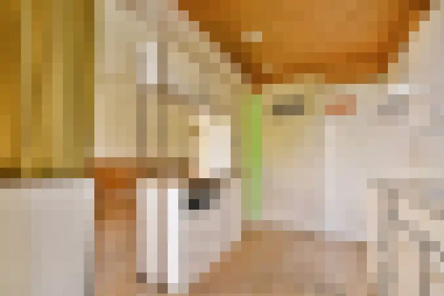 Berkenrodelaan 20 Amstelveen thumbnail 10