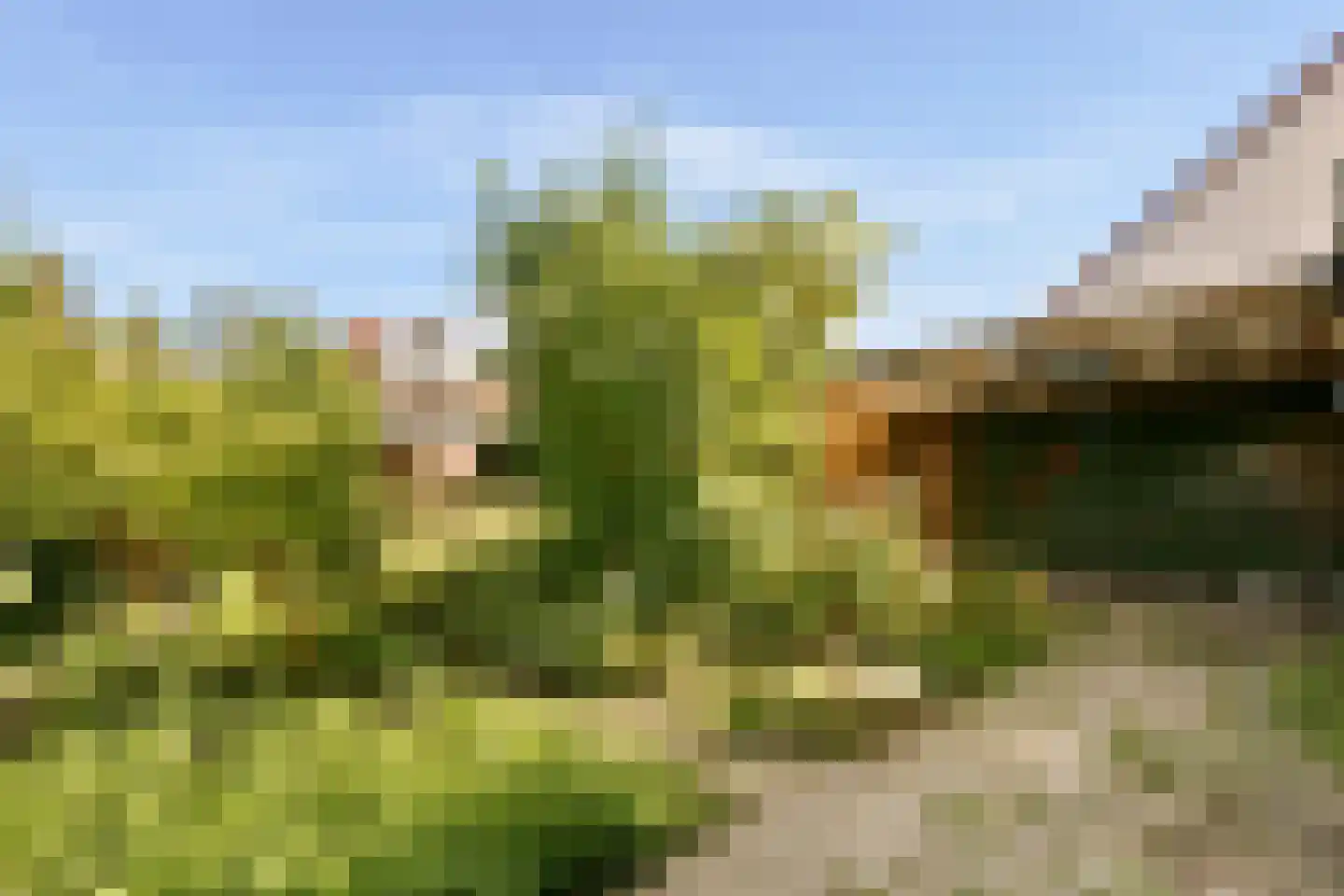 Berkenrodelaan 20 Amstelveen thumbnail 12