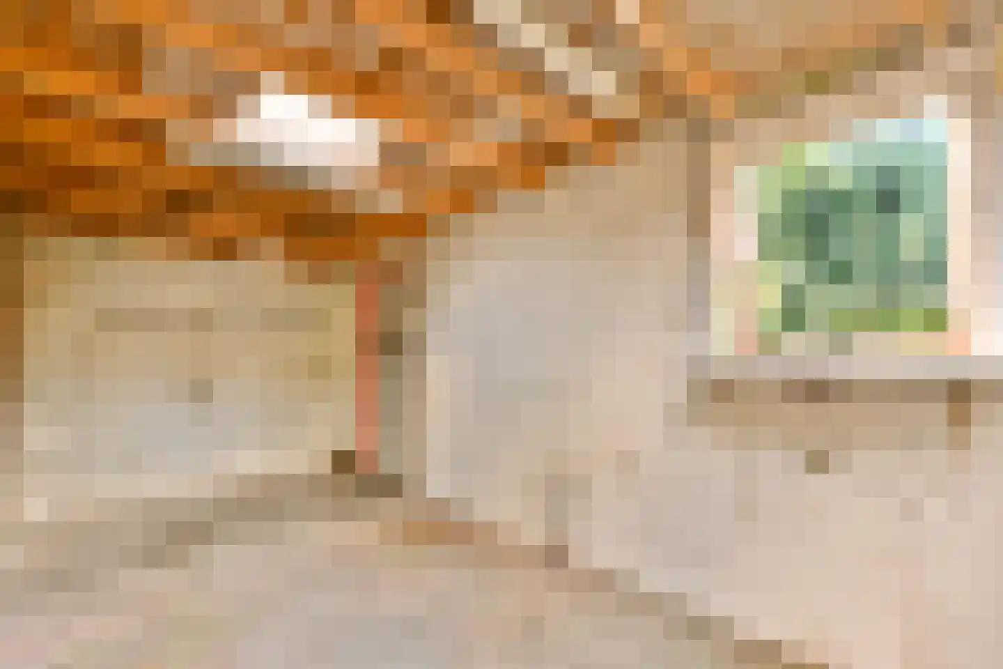 Berkenrodelaan 20 Amstelveen thumbnail 17