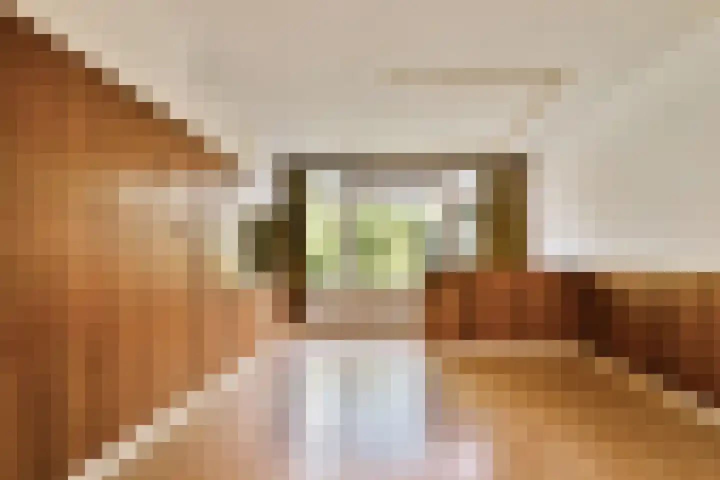 Berkenrodelaan 20 Amstelveen thumbnail 7