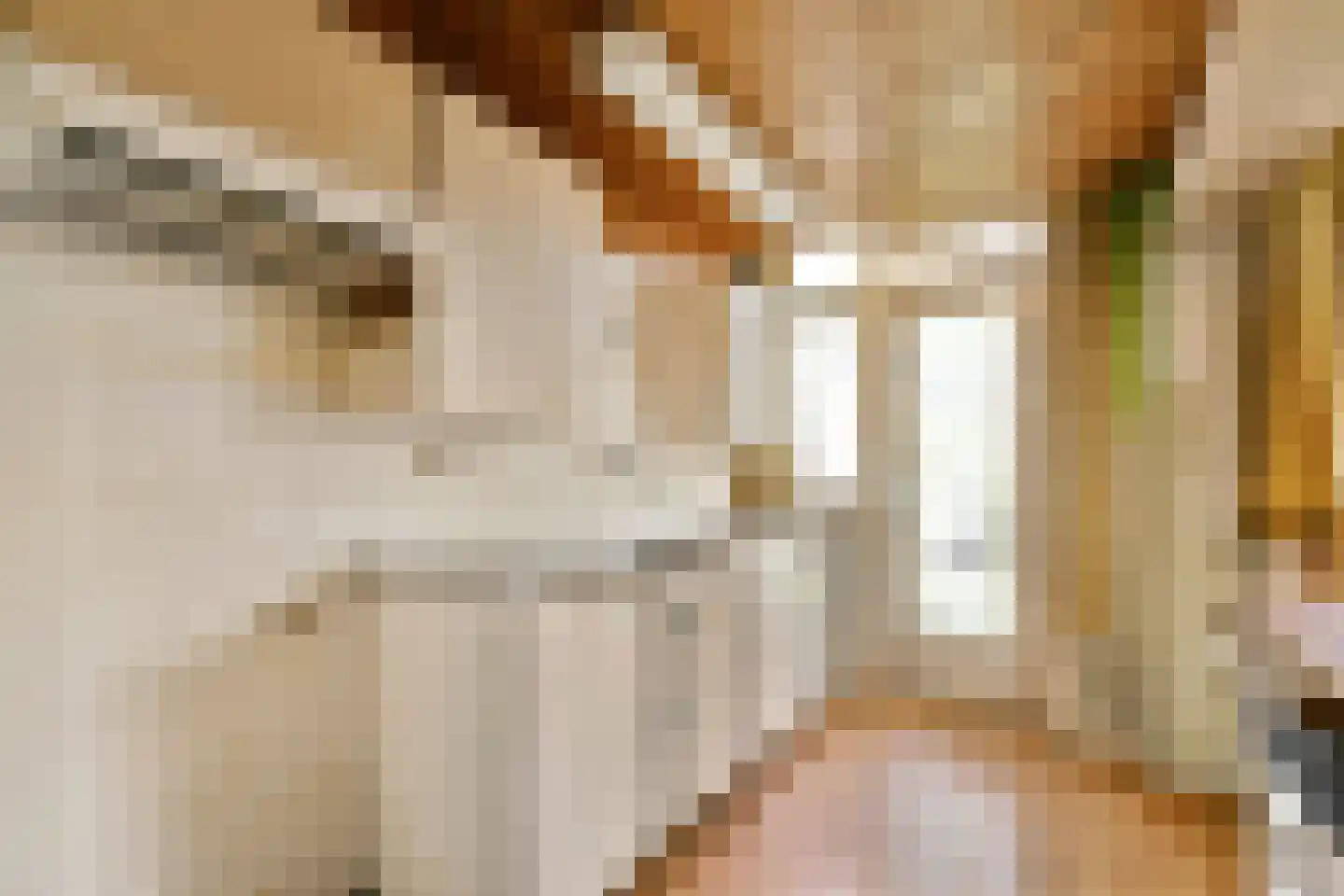 Berkenrodelaan 20 Amstelveen thumbnail 9