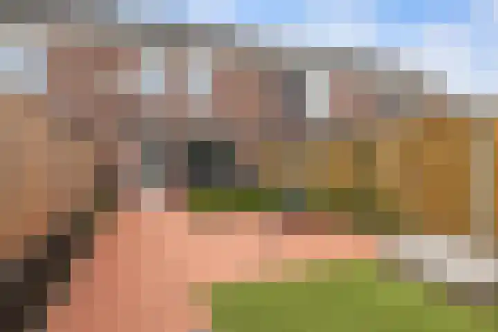 Berkenrodelaan 64 Tilburg thumbnail 29