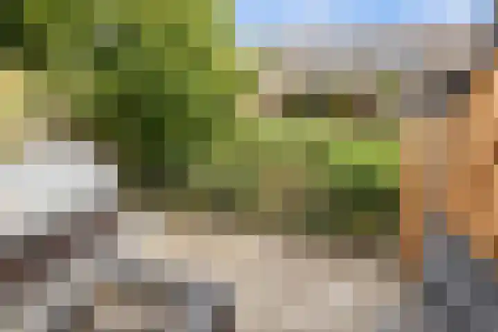 Berkenrodelaan 64 Tilburg thumbnail 31