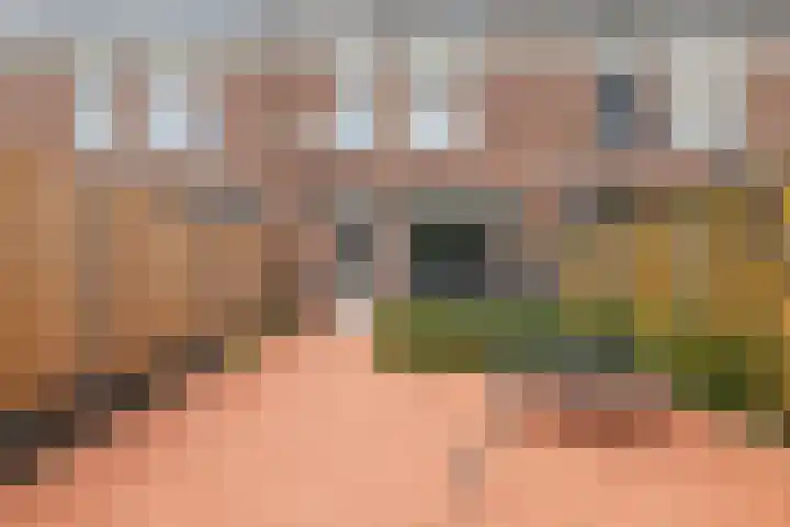 Berkenrodelaan 64 Tilburg thumbnail 32