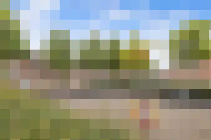 Berkenrodelaan 64 Tilburg thumbnail 37