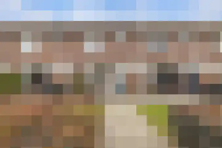 Berkenrodelaan 64 Tilburg thumbnail 4