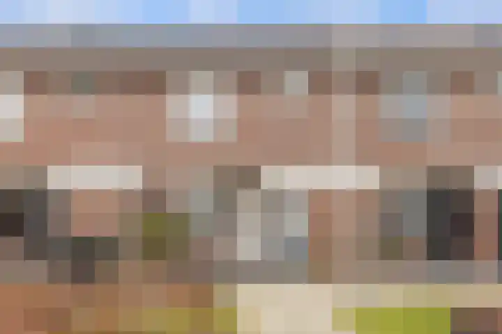 Berkenrodelaan 64 Tilburg thumbnail 46
