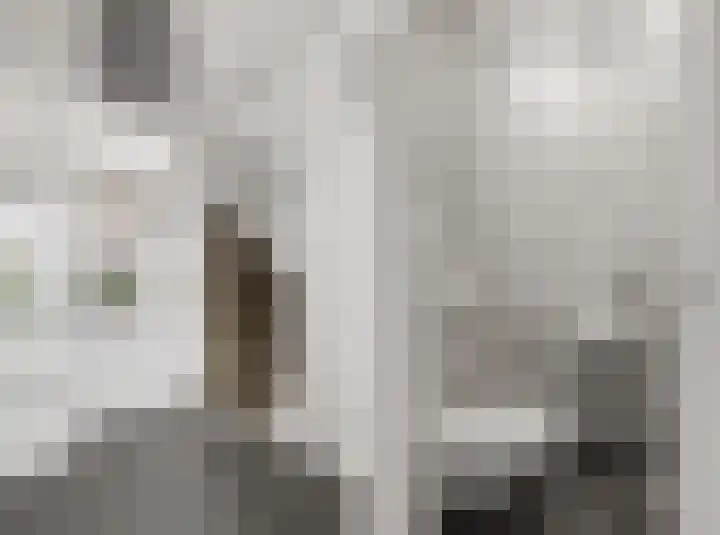 Berkenrodelaan 64 Tilburg thumbnail 6