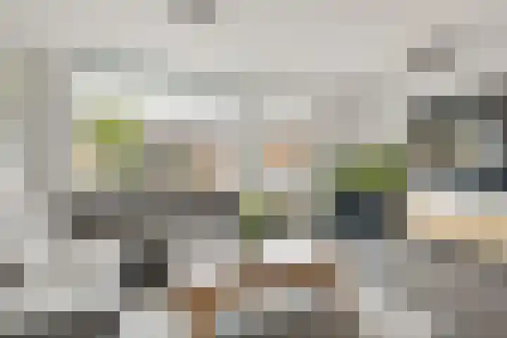 Berkenrodelaan 64 Tilburg thumbnail 8