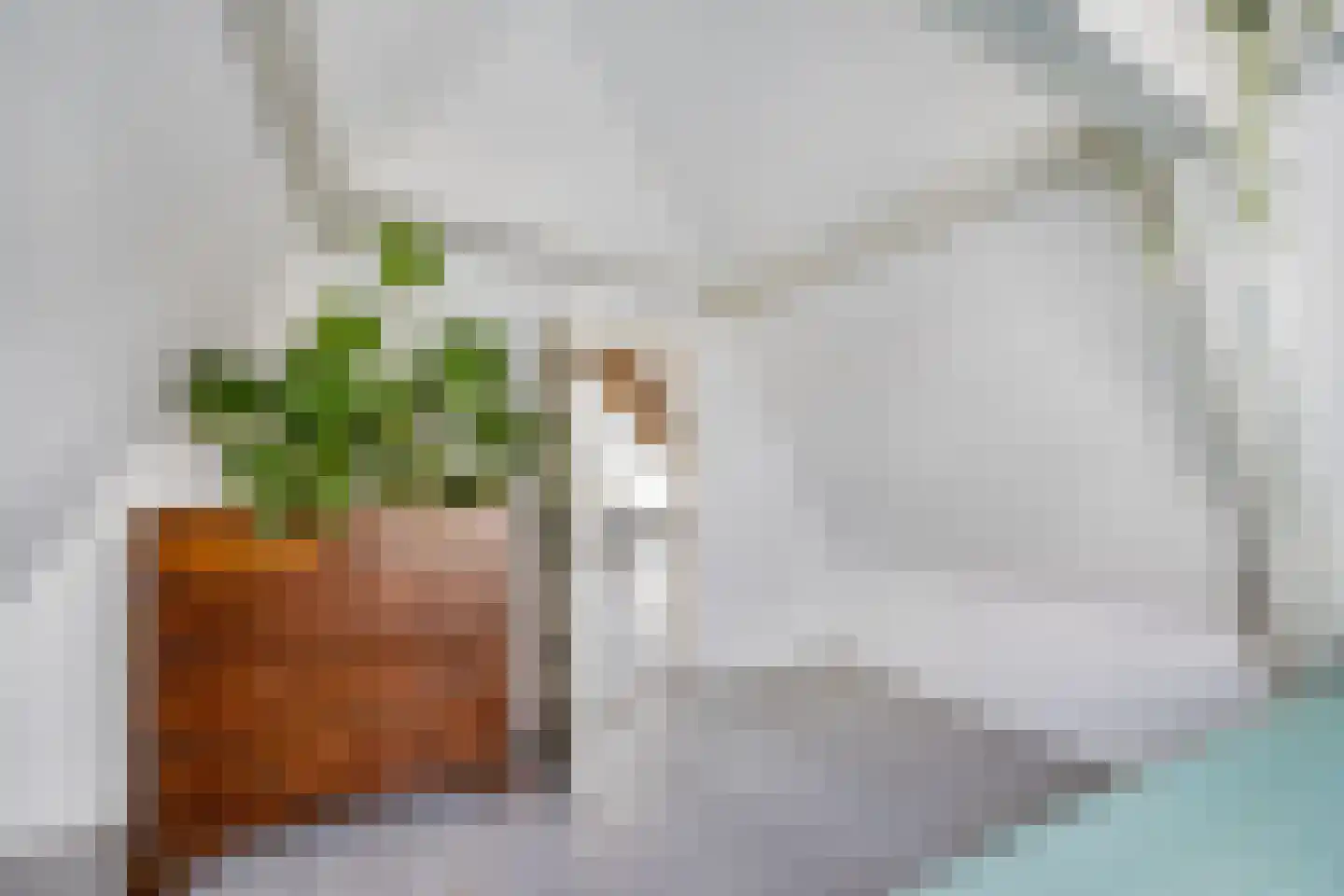 Berkenrodesteeg 6 Haarlem thumbnail 20