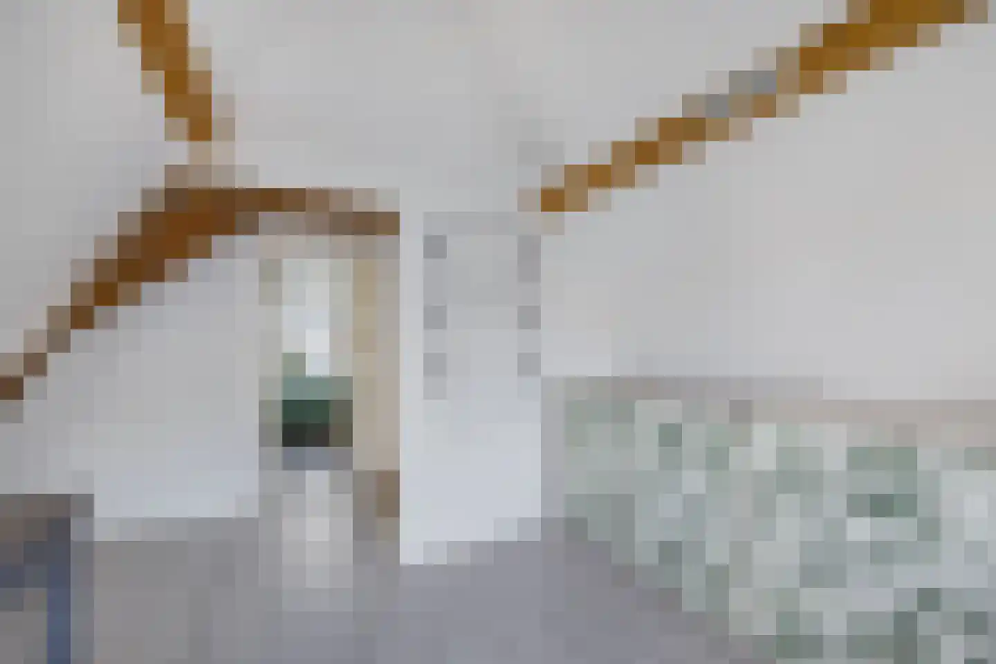 Berkenrodesteeg 6 Haarlem thumbnail 23