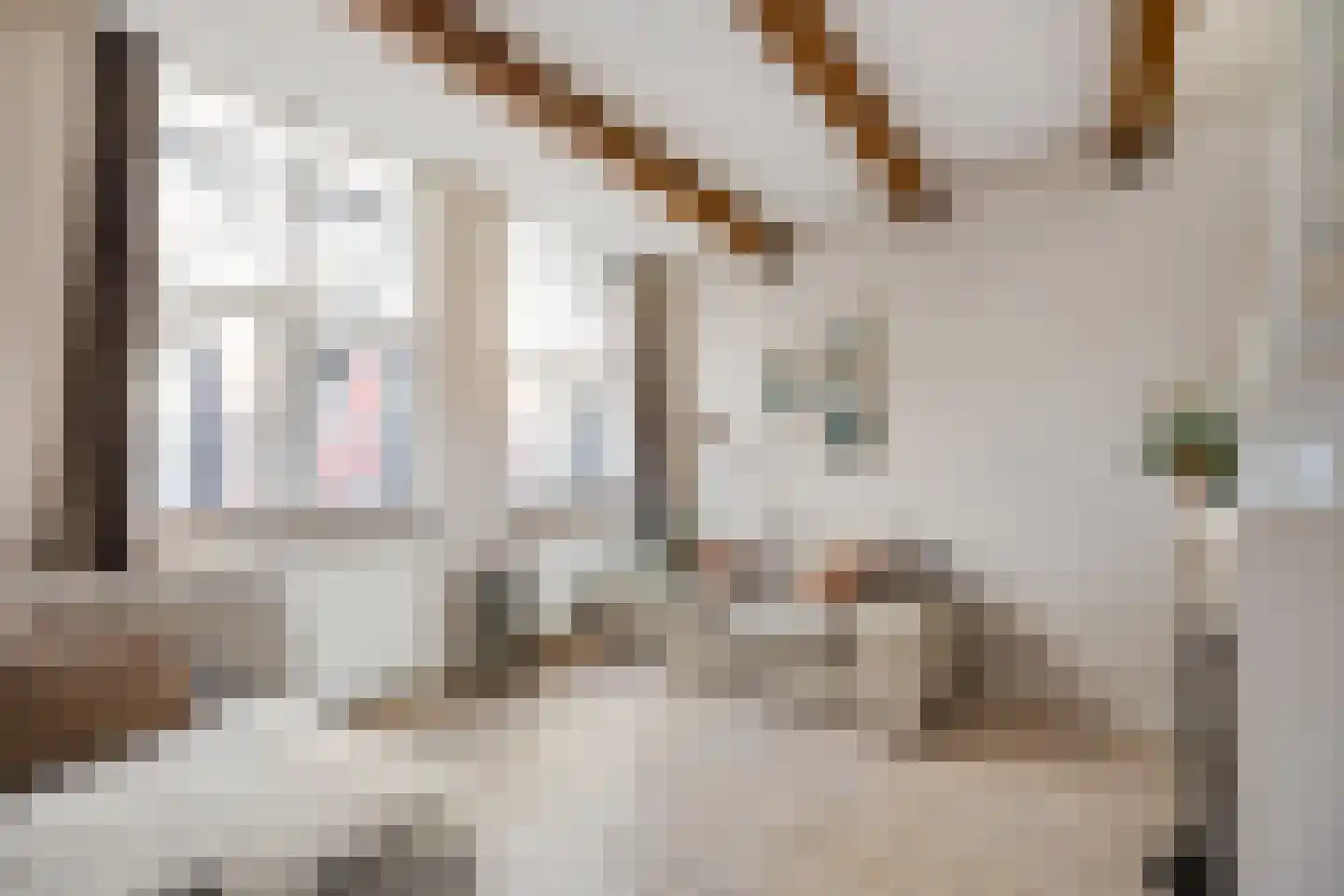 Berkenrodesteeg 6 Haarlem thumbnail 4