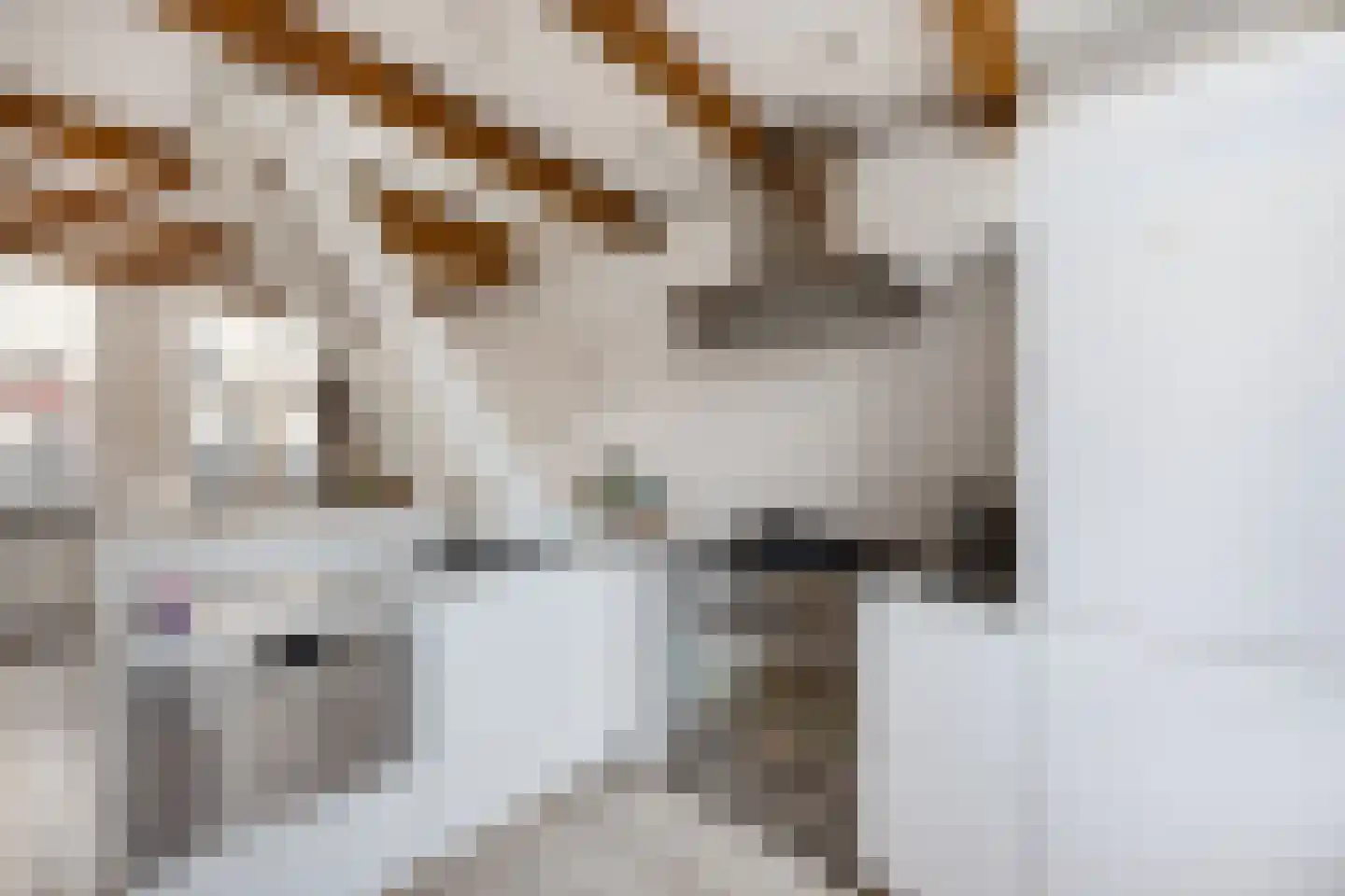 Berkenrodesteeg 6 Haarlem thumbnail 6