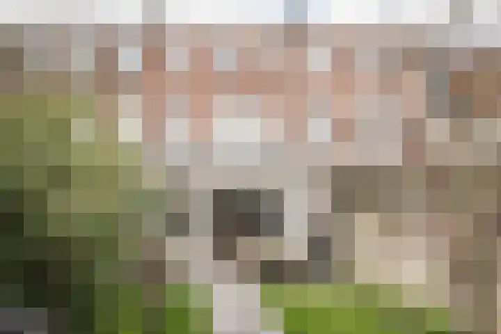 Berkenrodestraat 23 Haarlem thumbnail 27