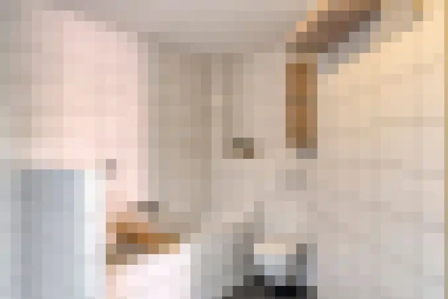 Berkenschakel 15 Bathmen thumbnail 22