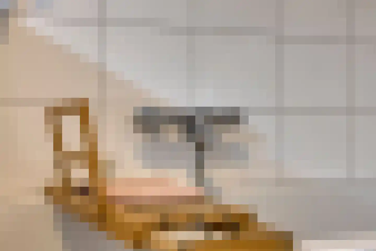 Berkenschakel 15 Bathmen thumbnail 23