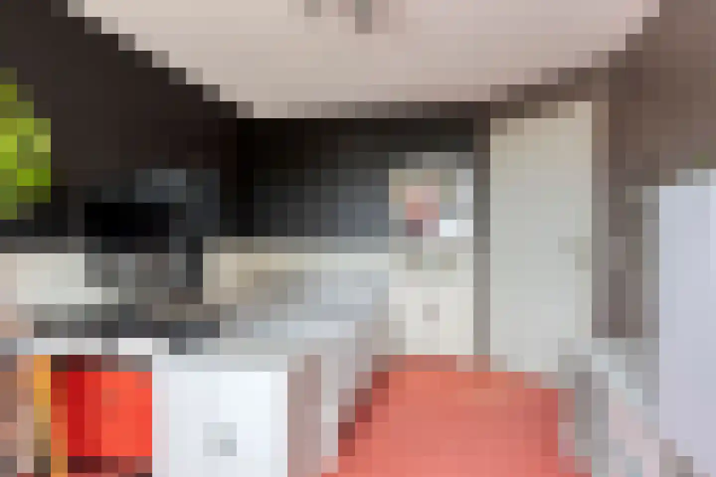 Berkenschakel 15 Bathmen thumbnail 27