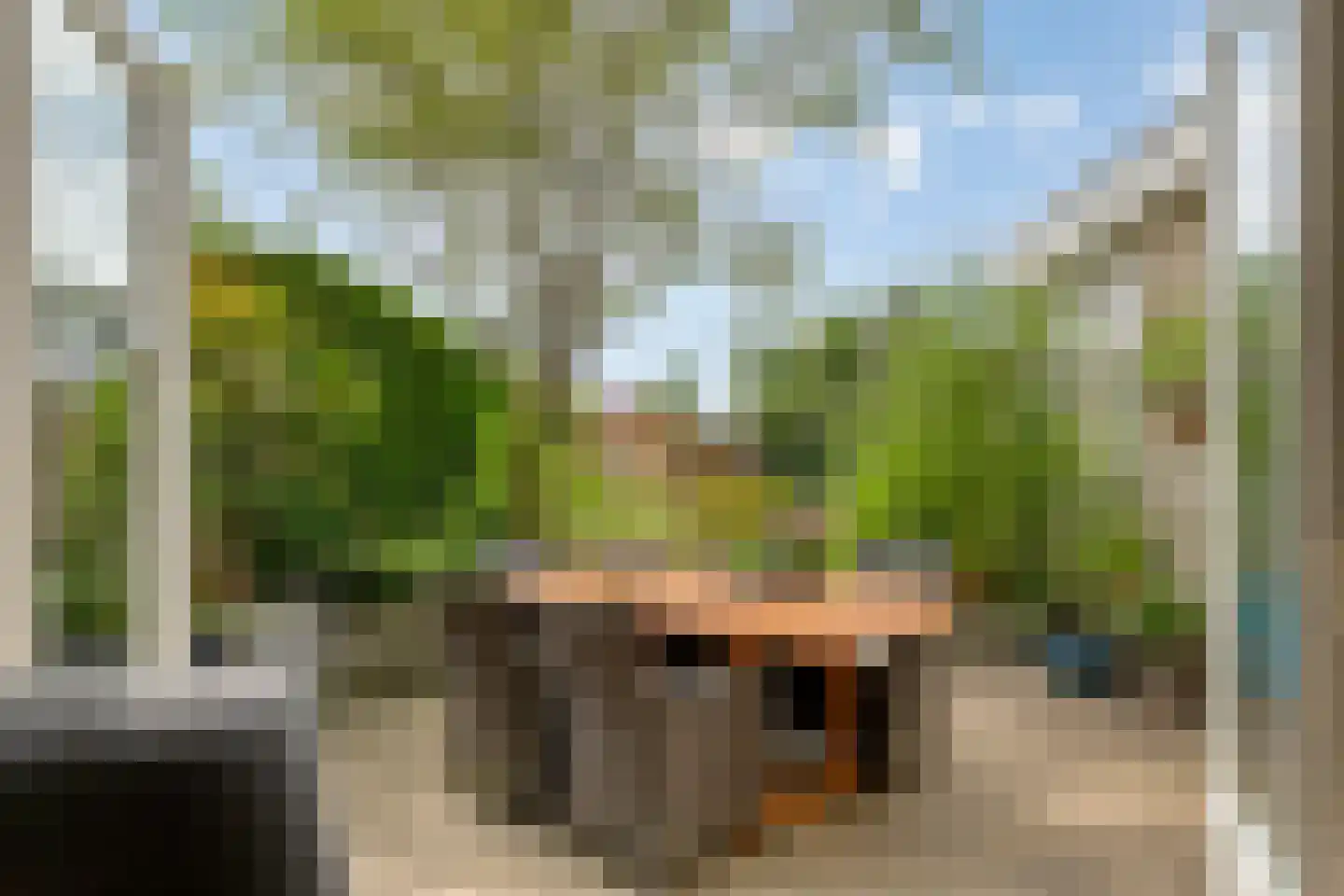 Berkenschakel 15 Bathmen thumbnail 31