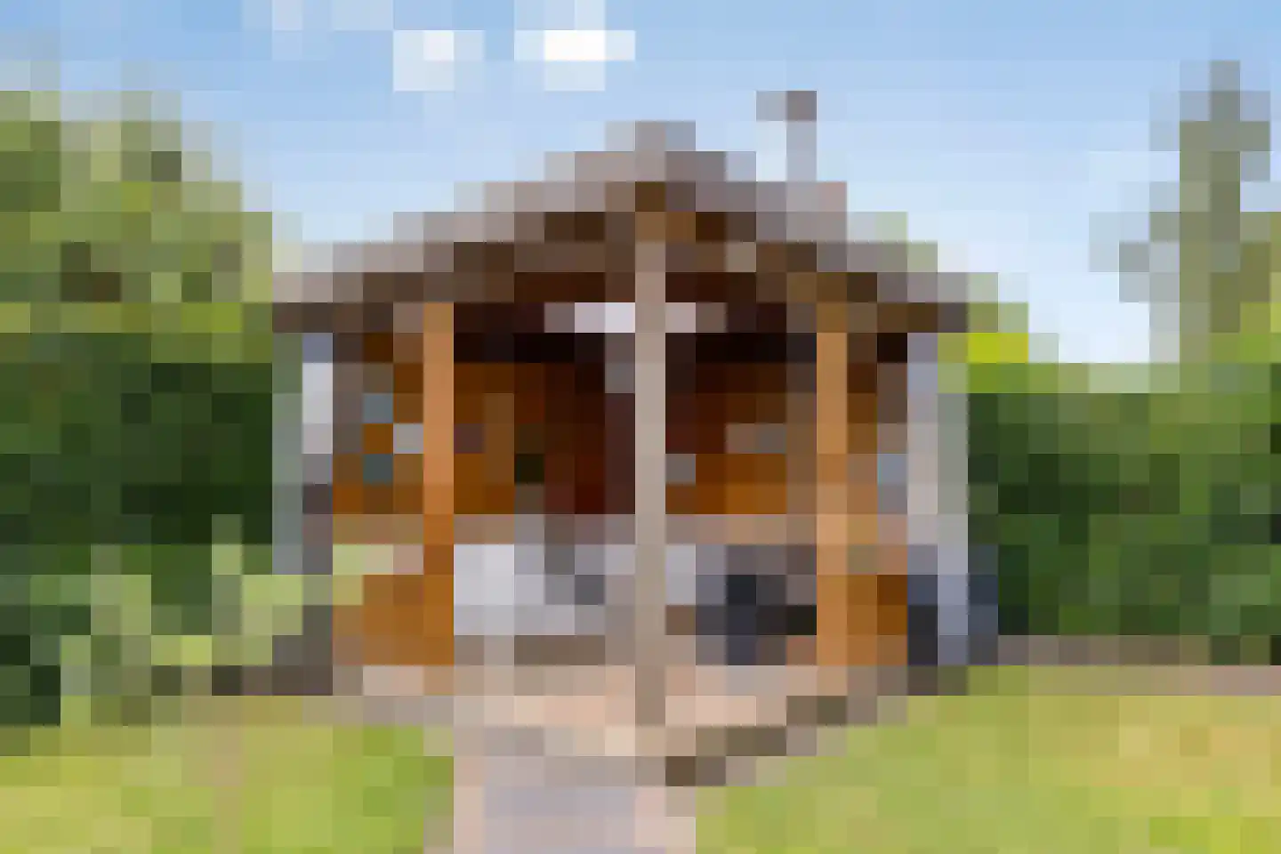 Berkenschakel 15 Bathmen thumbnail 33