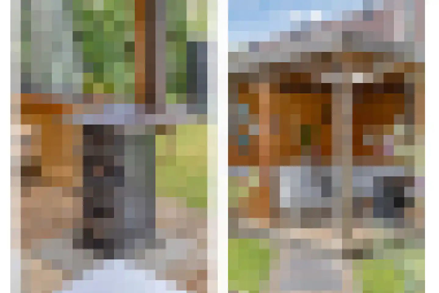 Berkenschakel 15 Bathmen thumbnail 34