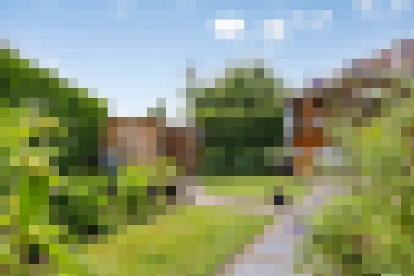 Berkenschakel 15 Bathmen thumbnail 36