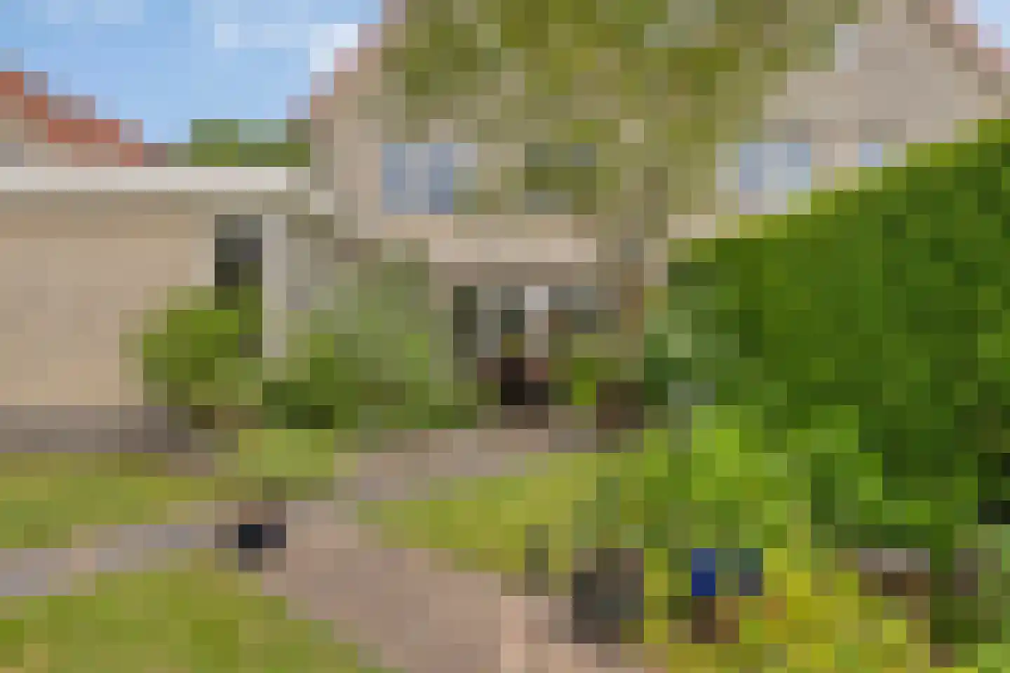 Berkenschakel 15 Bathmen thumbnail 4