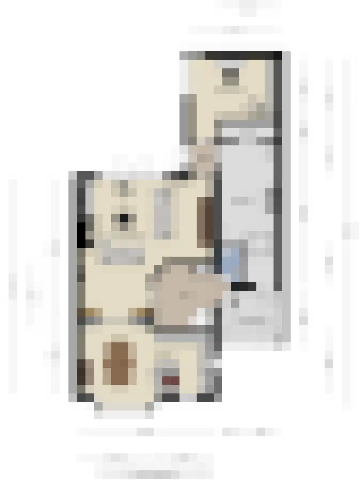 Berkenschakel 15 Bathmen thumbnail 41