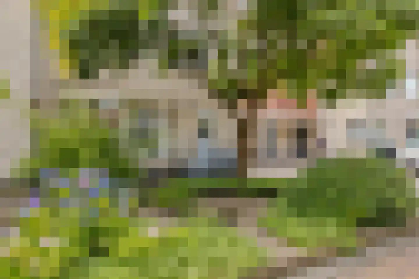 Berkenschakel 15 Bathmen thumbnail 5