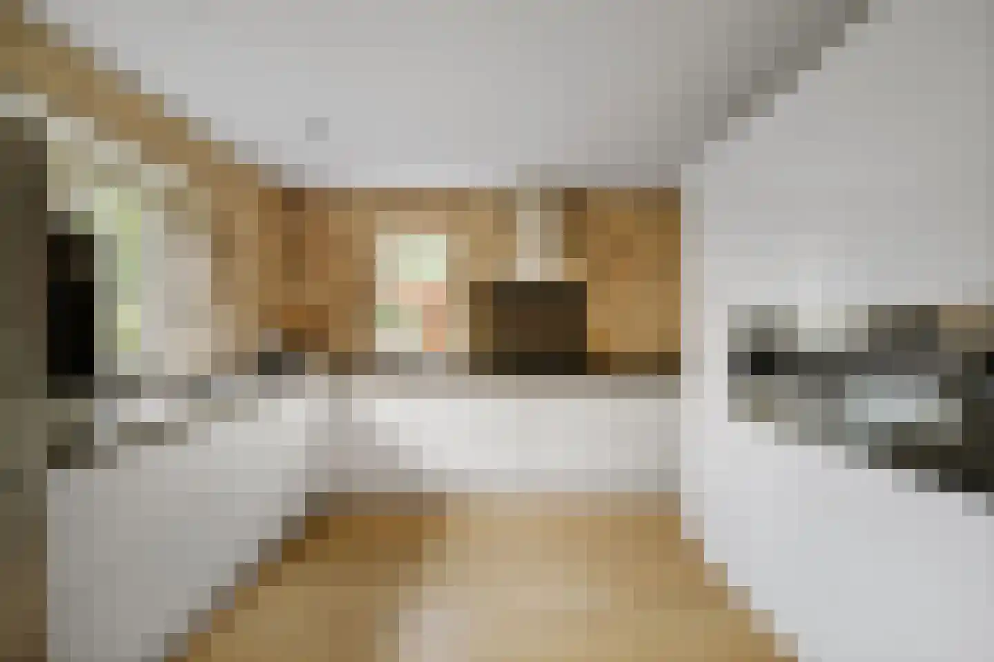 Berkenschakel 20 Bathmen thumbnail 10