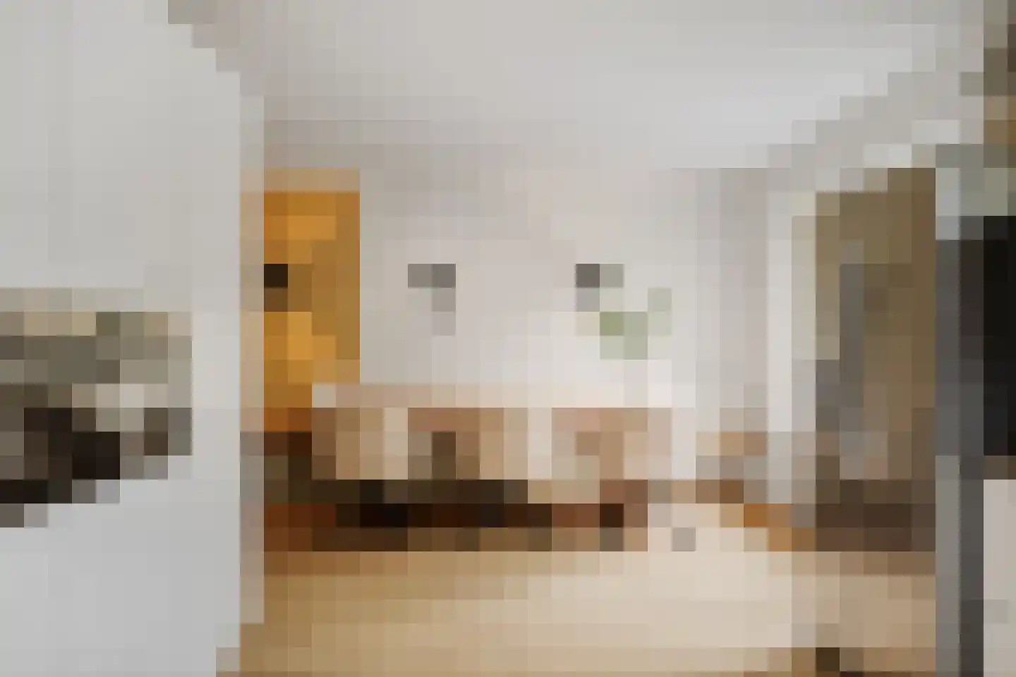 Berkenschakel 20 Bathmen thumbnail 12