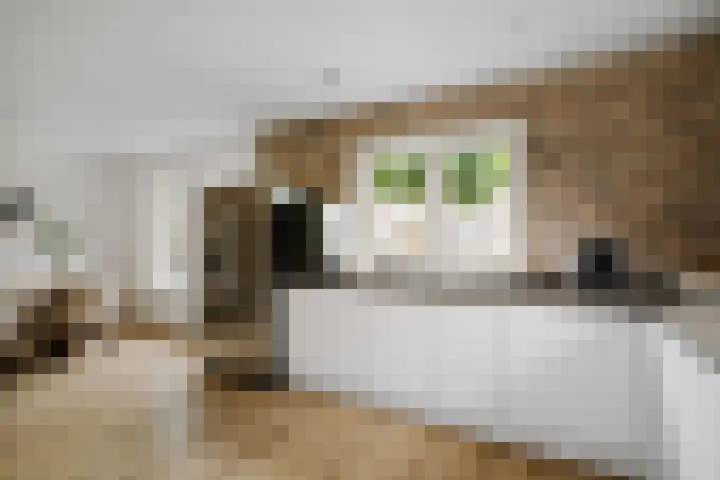 Berkenschakel 20 Bathmen thumbnail 13