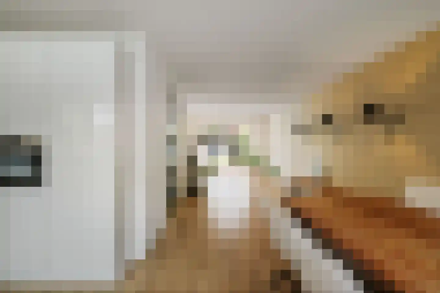 Berkenschakel 20 Bathmen thumbnail 14
