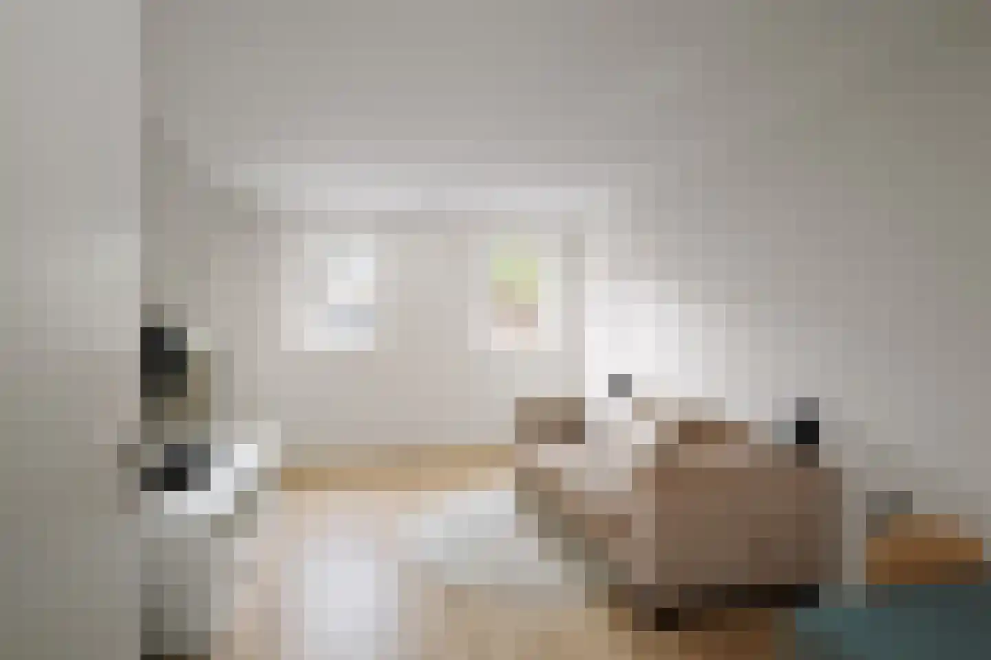 Berkenschakel 20 Bathmen thumbnail 18