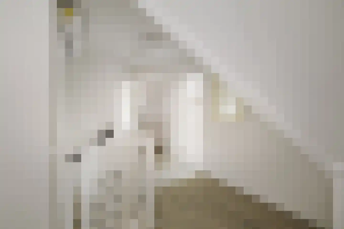 Berkenschakel 20 Bathmen thumbnail 22