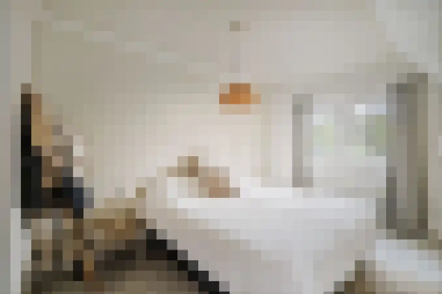 Berkenschakel 20 Bathmen thumbnail 25