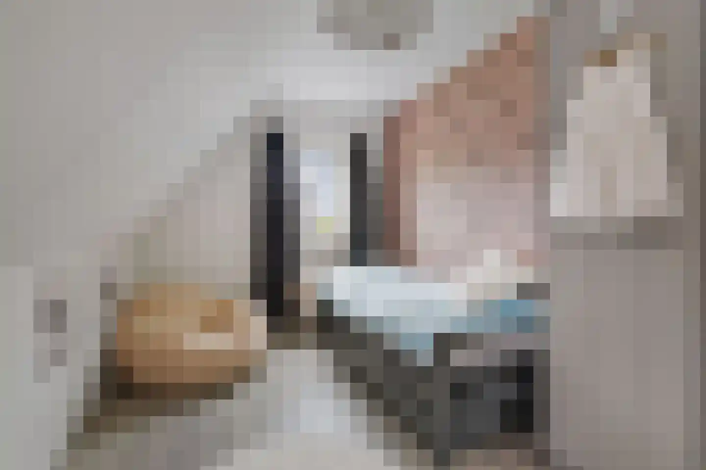 Berkenschakel 20 Bathmen thumbnail 26