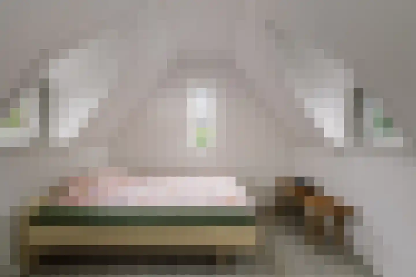 Berkenschakel 20 Bathmen thumbnail 27