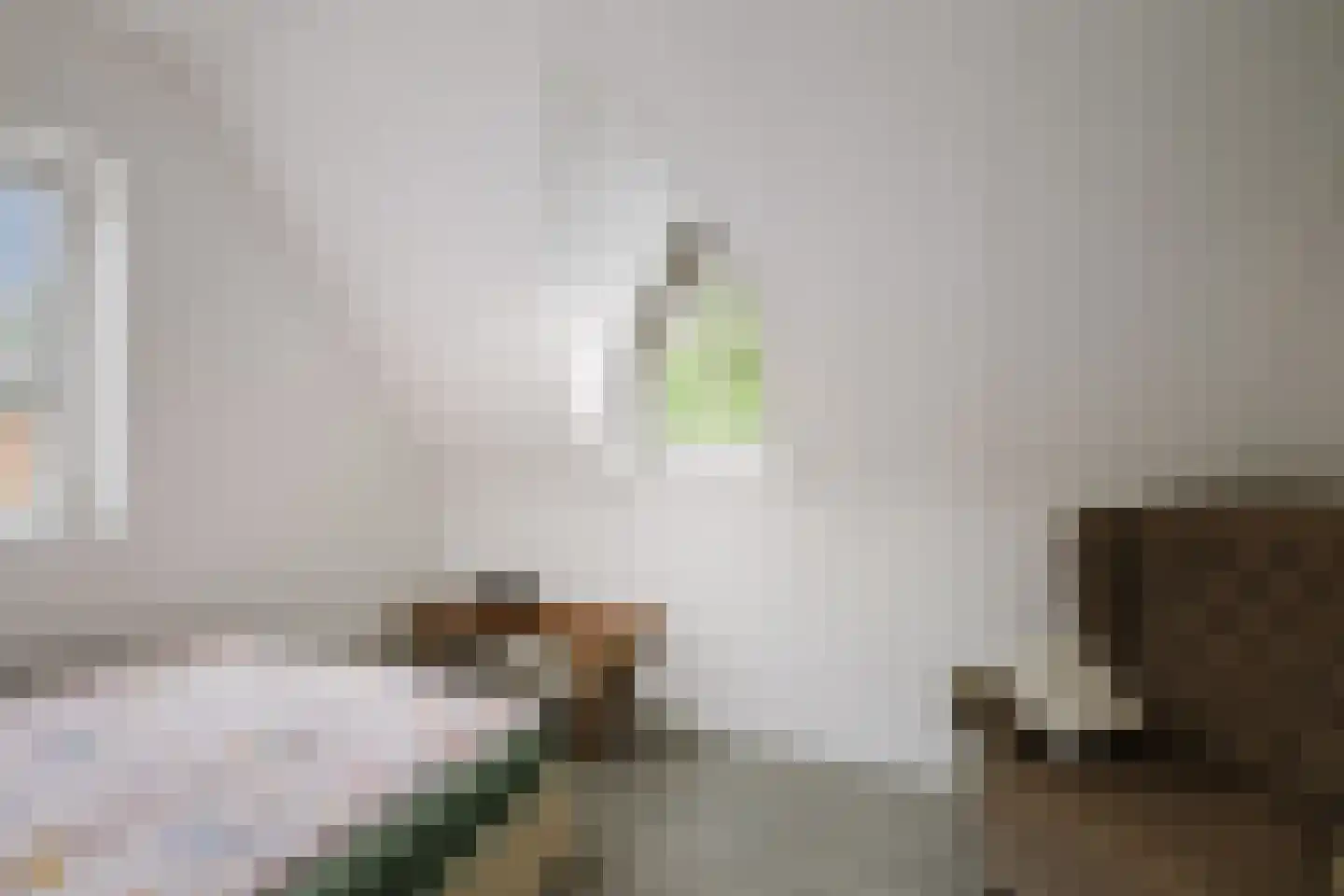 Berkenschakel 20 Bathmen thumbnail 28
