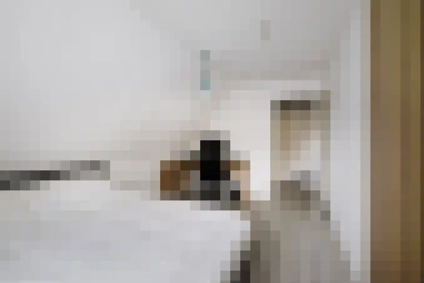 Berkenschakel 20 Bathmen thumbnail 30