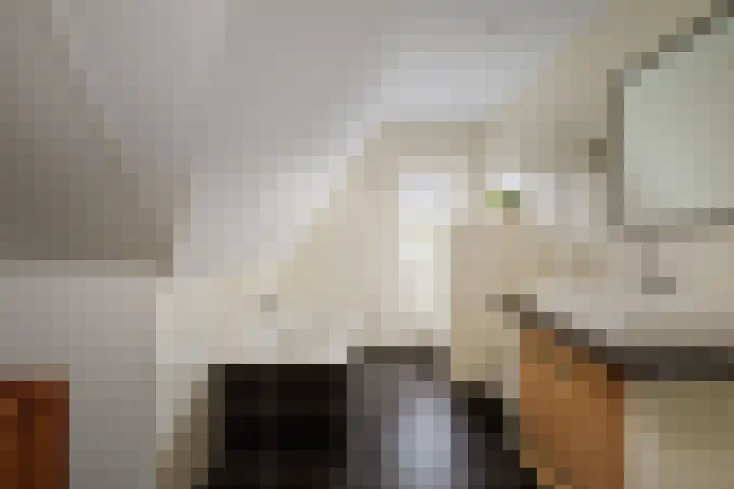 Berkenschakel 20 Bathmen thumbnail 31